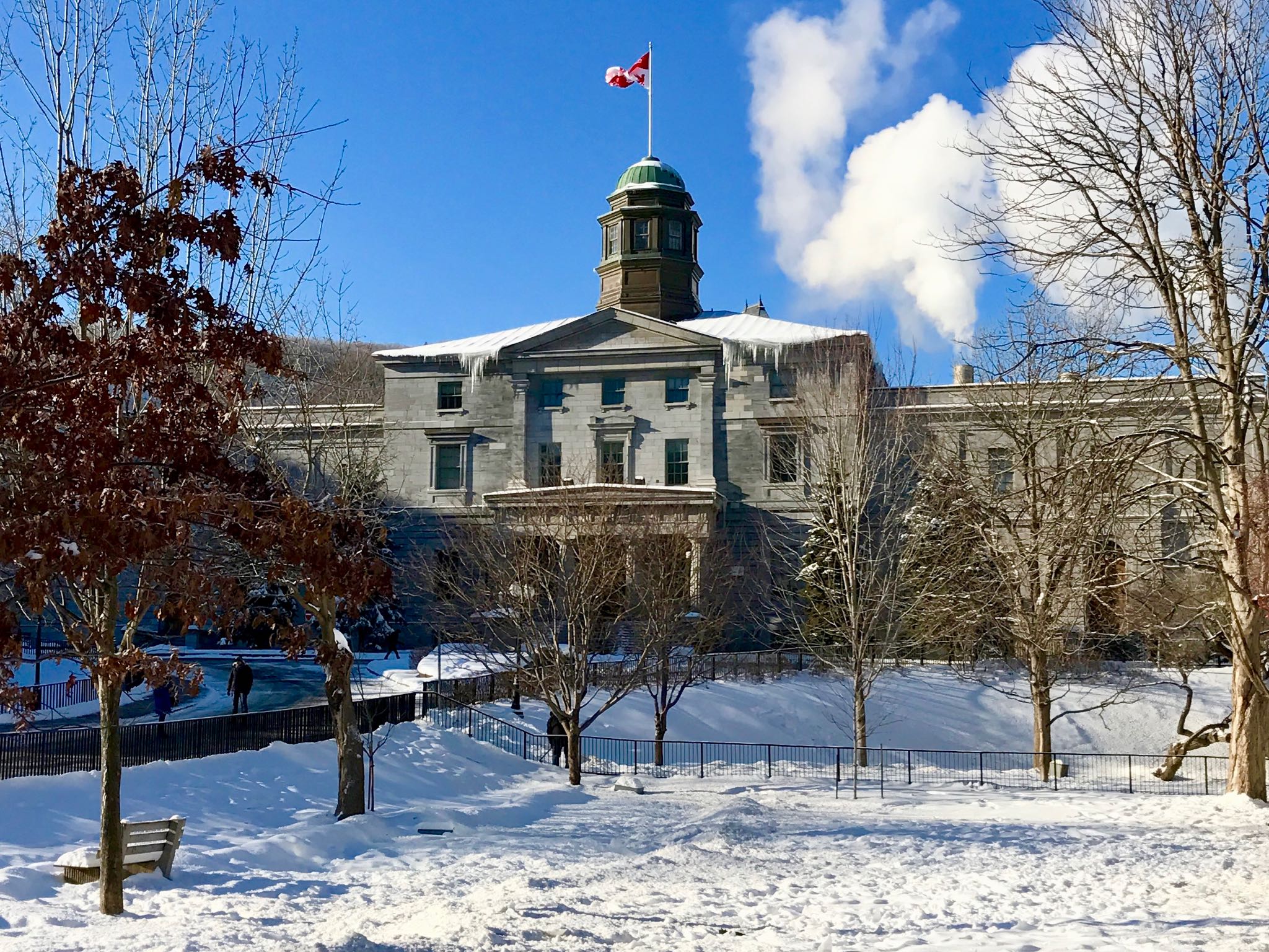 McGill University campus